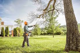 Seasonal Cleanup (Spring/Fall) in Baldwin Park, CA